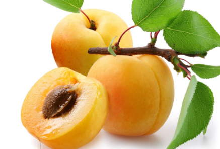秋天吃什么水果可以润肺杏子 1
