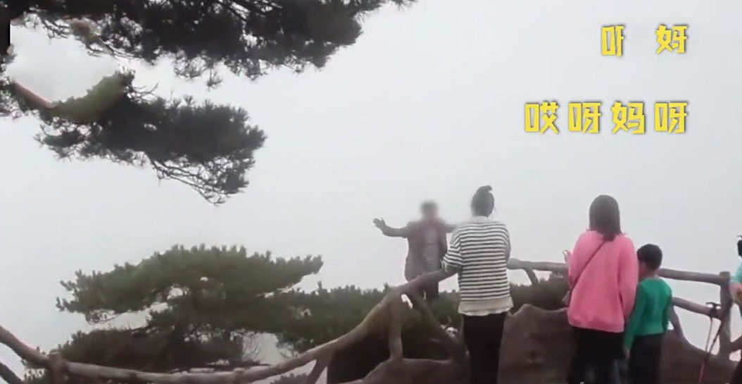 游客爬到黄山悬崖的松树上拍照 不要命的操作 1