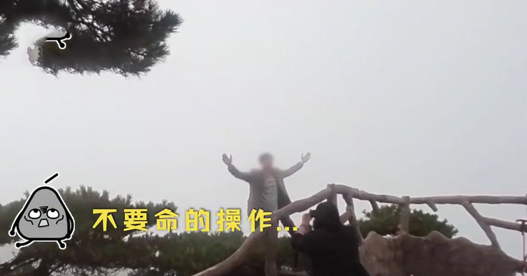 游客爬到黄山悬崖的松树上拍照 不要命的操作 3