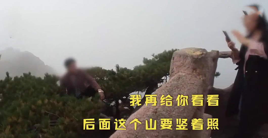 游客爬到黄山悬崖的松树上拍照 不要命的操作 2