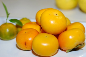 脆柿子是什么品种 和软柿子的区别