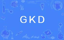 gkd代表什么意思 1