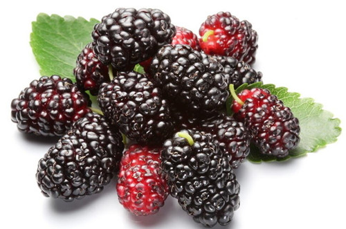什么样的水果养胃 养胃水果十强排行榜 10