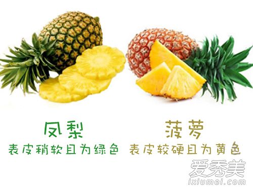 凤梨和菠萝的区别图片 教你分辨 2