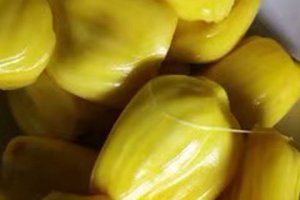 菠萝蜜保存方法技巧 剥好的菠萝蜜怎么保存