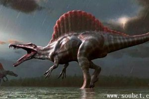 世界上最大的肉食性恐龙 食肉恐龙中的大块头